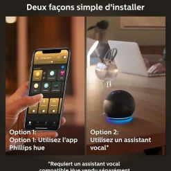 2 ampoules connecté Philips Hue variable E27 GU10 350lm IP20 blanc chaud ou froid