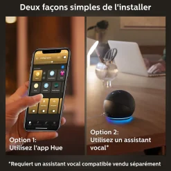 2 ampoules LED connectée Philips Hue flamme IP20 E14 300lm 4.5W blanc chaud