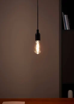 2 ampoules LED décoratives à filament ST64 E27 7W 806lm Eglo