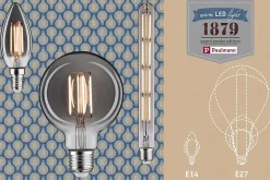 1879 Filament 230 V Globe LED G95 E27 420lm 8W 2200K gradable Verre fumé