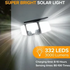 2 Projecteurs solaires sensor RAYLITE 800LM