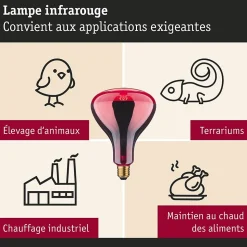 Ampoule à incandescence Infrarouge E27 230V 100lm 150W 1000K gradable Rouge