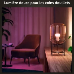 Ampoule connectée connectée dimmable Bluetooth Philips Hue IP20 A60 E27 1100lm 11W multicolore