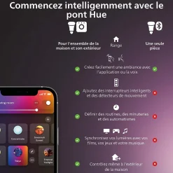Ampoule connectée connectée dimmable Bluetooth Philips Hue IP20 A60 E27 1100lm 11W multicolore