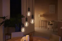 Ampoule connectée dimmable Bluetooth Philips Hue IP20 Globe E27 550lm 7W blanc chaud