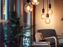 Ampoule connectée dimmable Bluetooth Philips Hue IP20 Globe E27 550lm 7W blanc chaud