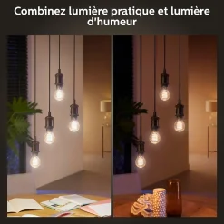 Ampoule LED à filament connectée Philips Hue E27 IP20 580lm 9W blanc doux