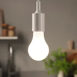 Ampoule LED à filament dépolie GLS E27 1521lm 10.5W = 100W Ø7cm IPX4 Diall blanc neutre dimmable