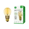 Ampoule Led à Filament Intelligente E27 - R9078
