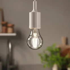Ampoule LED à filament transparent GLS E27 1521lm 10.5W = 100W Ø7cm IPX4 Diall blanc neutre dépolie
