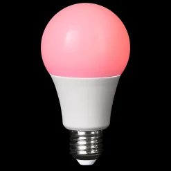 Ampoule LED A60 E27 806lm 8W = 60W Ø6cm Diall RVB et blanc chaud aux nuance blanc froid