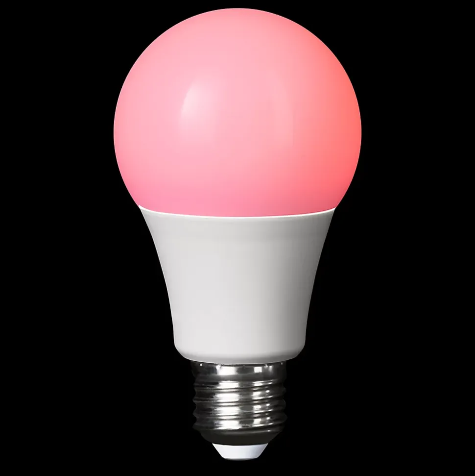 Ampoule LED A60 E27 806lm 8W = 60W Ø6cm Diall RVB et blanc chaud aux nuance blanc froid