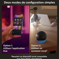 Ampoule LED connectée Philips Hue A60 IP20 E27 1055lm 9.5W 75W blanc chaud