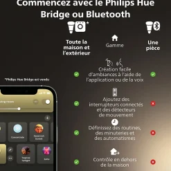 Ampoule LED connectée Philips Hue A60 IP20 E27 1600lm 15,5W blanc chaud