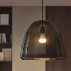 Ampoule LED connectée Philips Hue A60 IP20 E27 1600lm 15,5W blanc chaud