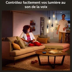 Ampoule LED connectée Philips Hue Globe G93 E27 IP20 580lm 7,2W blanc doux