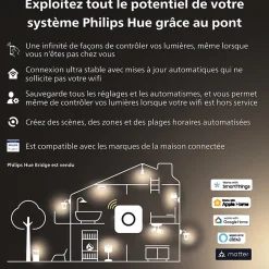 Ampoule LED connectée Philips Hue Filament Globe E27 IP20 580lm 7W blanc doux