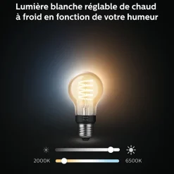 Ampoule LED connectée Philips Hue A60 IP20 E27 550lm 7W blanc