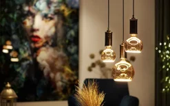 Ampoule LED décorative E27 300lm blanc chaud 4,5W Segula