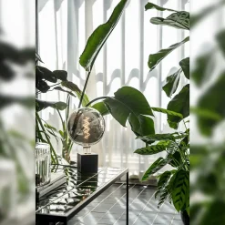 Ampoule LED décorative XXL Kalmar verre gris titane dimmable E27 5W 70lm Calex