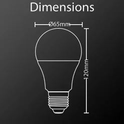 Ampoule LED E27 A60 14.2W 1521lm 200 (100W) - Blanc Froid