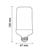 Ampoule LED E27 Flamme 5W 220V