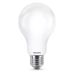 Ampoule LED E27 17,5W 2452lm (