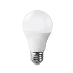 Ampoule LED E27 15W 220V A65 - Blanc Froid 6000K - 8000K - Silumen