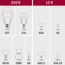Ampoule LED globe doré E27 250lm blanc extra chaud 4W Paulmann