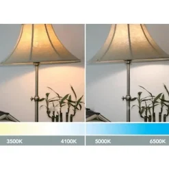 Ampoule LED GU4 / MR11 4W 12V - Blanc Froid 6000K - 8000K - SILAMP