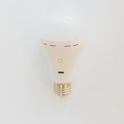 Ampoule LED rechargeable dimmable Lapera blanc IP20 E27 350lm Newgarden