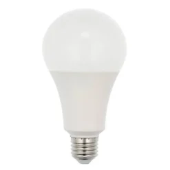 Ampoule LED standard 10W (Eq. 60W) E27 6400K blanc froid
