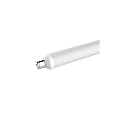 Ampoule LED Tube S15s 280lm 2.5W Ø2.7cm Diall blanc chaud