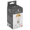 Ampoules LED - verre - doré - E27 - Atmosphera