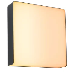 Applique d'extérieur LED Smart Home Zigbee 3.0 Azalena Détecteur de mouvement crépusculaire (HF) favorable aux insectes IP44 250x2