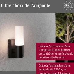 Applique d'extérieur Tralia IP44 65x250mm max. 10W 230V Anthracite Aluminium