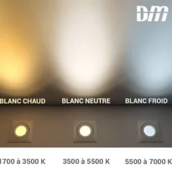 Applique Glam 250 LED U&D - 12W - 3000K - 360Lm - dimmable - Noir/Doré