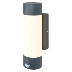 Applique murale à détection Callisto 800lm 14W IP44 GoodHome gris anthracite