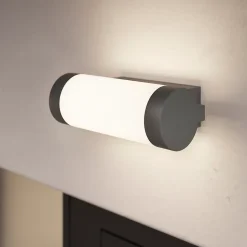 Applique murale Callisto taille S LED intégrée 800lm 13.5W IP44 GoodHome gris anthracite