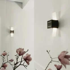 Applique Murale Carré Noir avec Plaque en Verre pour Ampoule G9 - SILUMEN - Noir