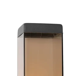 Applique murale d'extérieur moderne gris foncé avec verre fumé - Malios