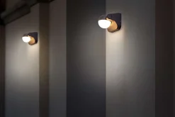 Applique murale d'extérieur LED 'Pallas' , en métal et plastique anthracite, avec LED intégrée
