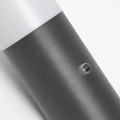 Applique murale d'extérieur moderne gris foncé IP44 avec capteur crépusculaire - Rox