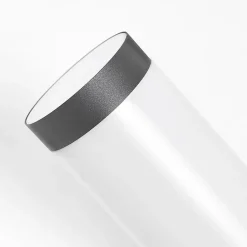 Applique murale d'extérieur moderne gris foncé IP44 avec capteur crépusculaire - Rox