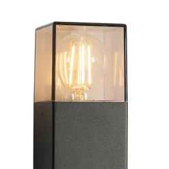 Applique murale extérieure noire avec abat-jour fumé 2 lumières IP44 - Danemark