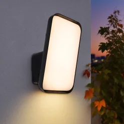 Applique murale LED extérieur noir 10,5 W 1700 lm blanc neutre IP54, GoodHome Wendland
