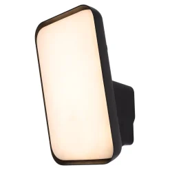 Applique murale LED extérieur noir 10,5 W 1700 lm blanc neutre IP54, GoodHome Wendland