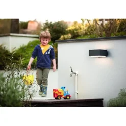 Applique murale Philips myGarden Hedgehog - Anthracite - 1x42W - LED - Extérieur