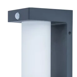 Applique murale solaire à détection Geotube LED intégrée 150lm IP54 GoodHome gris anthracite