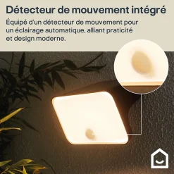 Applique murale solaire LED extérieur noir 900 lm détecteur de mouvement IP54, GoodHome Wendland